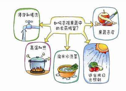 如何減少農(nóng)藥污染去除農(nóng)藥殘留？振華化工總結(jié)以下幾點(diǎn)分享給大家